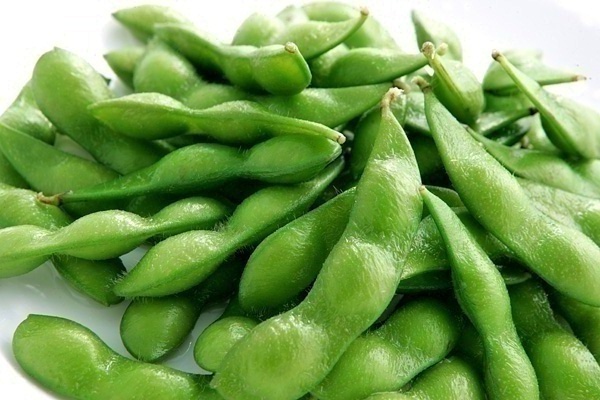 soybean1.jpg
